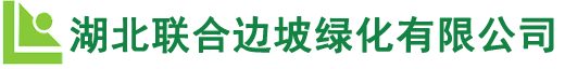 至晟科技（山東）有限公司
